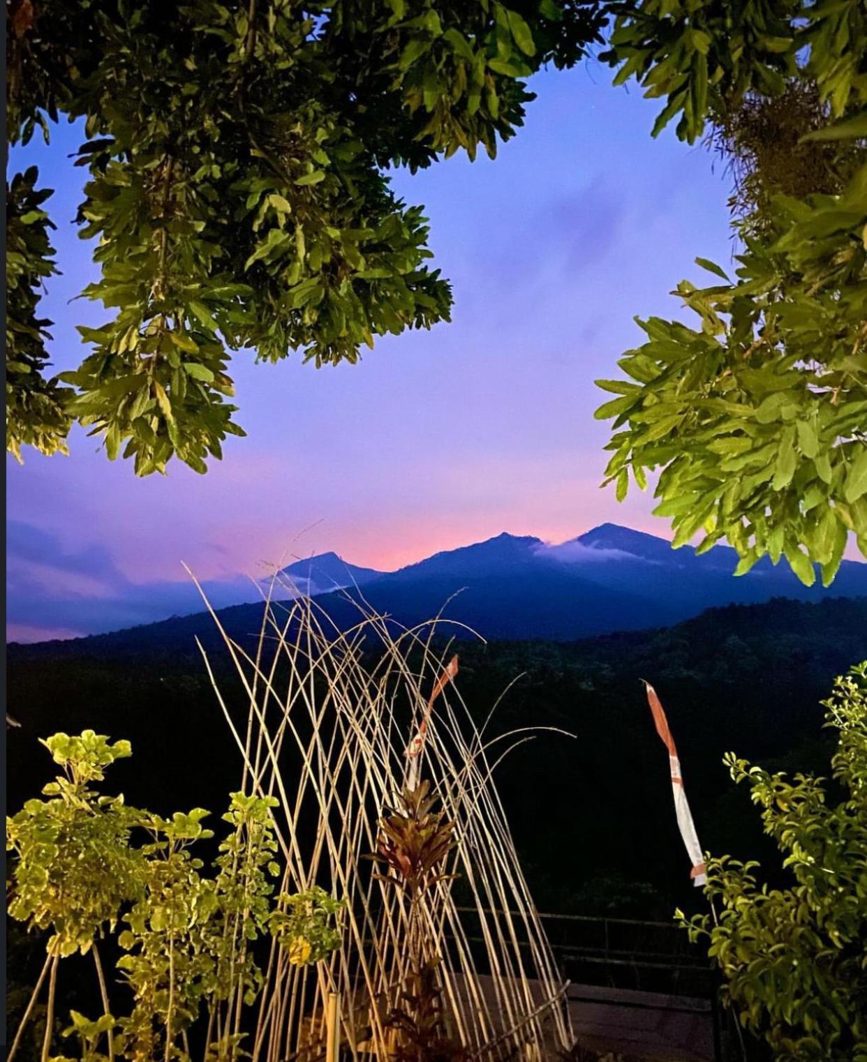 Pondok Senaru Cottages Exterior photo